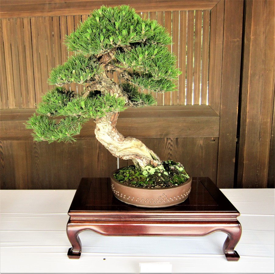 3rd. Gerard Cadwallader